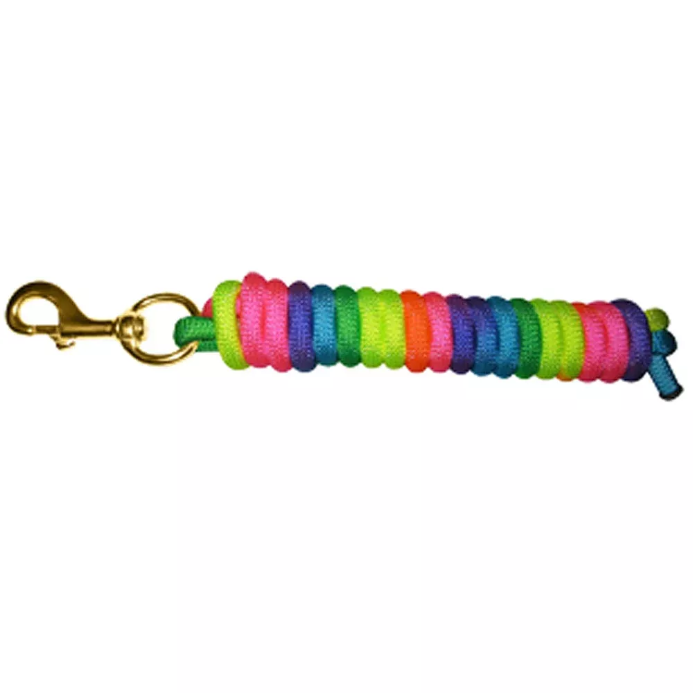 10 Ft Hilason Horse Poly Rainbow Lead Snap Brass Hardware