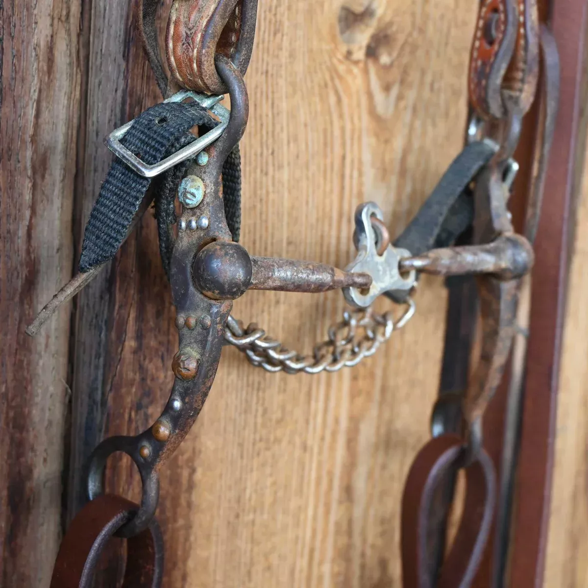 3pc Bridle Rig