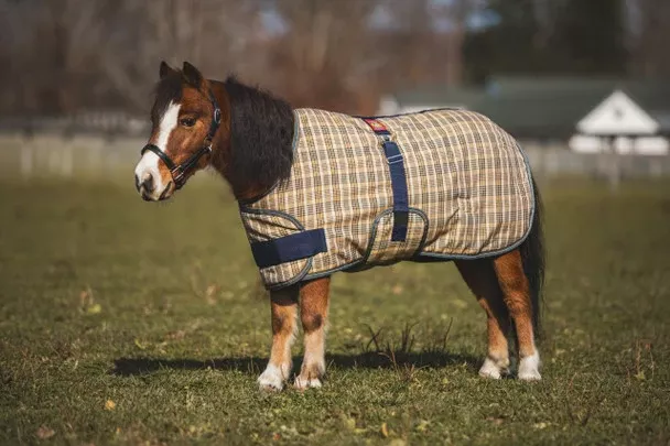 5/A Baker Medium Weight Expand-O-Blanket Turnout for Foal & Pony