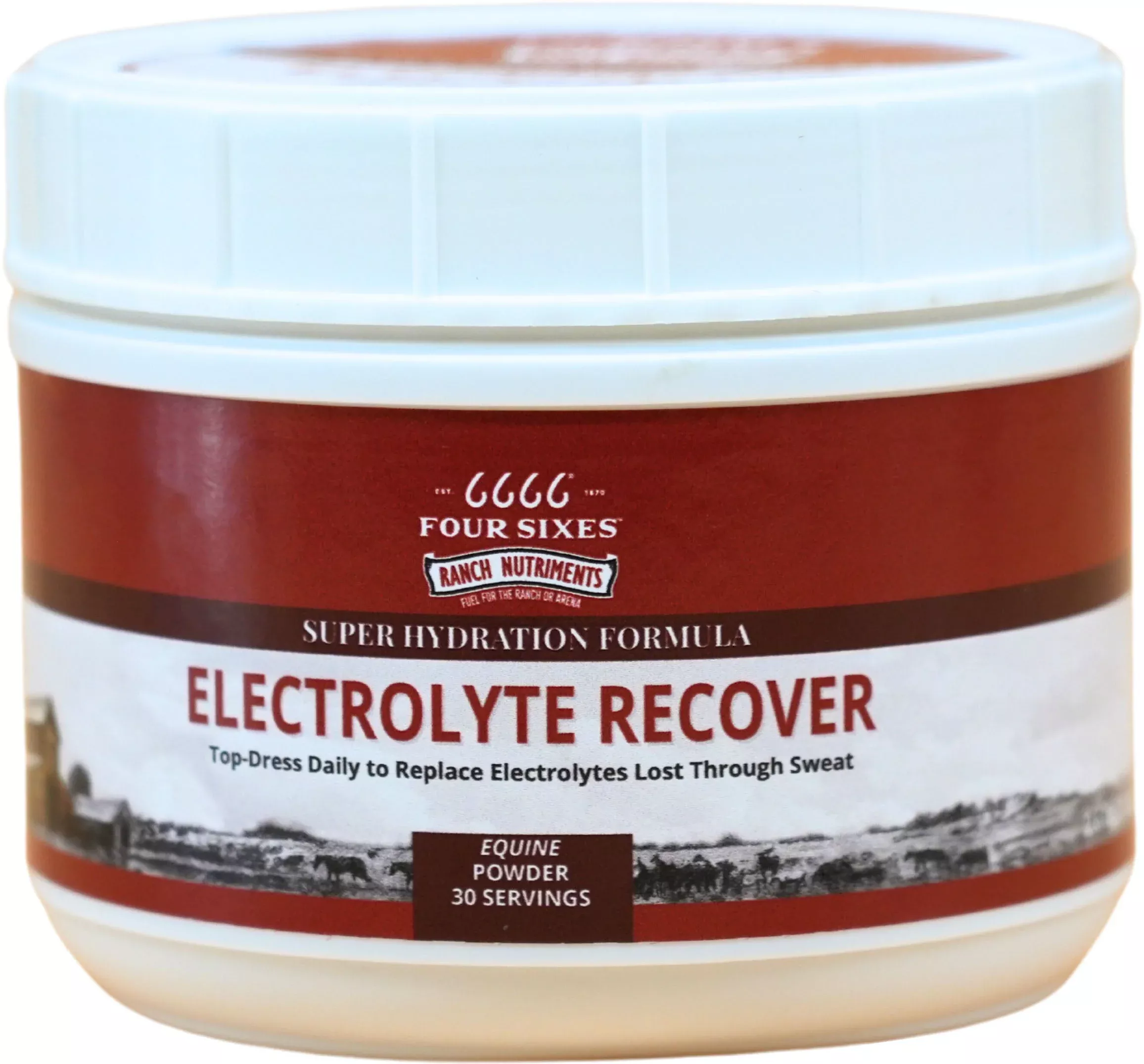 6666 Equine Supplements Electrolyte Recover Powder, 2.6 lb