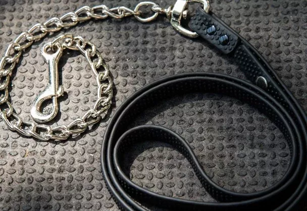 ACE Pro4mance Com4rt Grip Horse Lead with chain