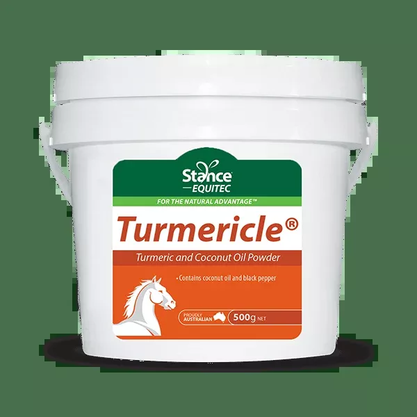 AHD Turmericle Turmeric and Coconut Oil Powder