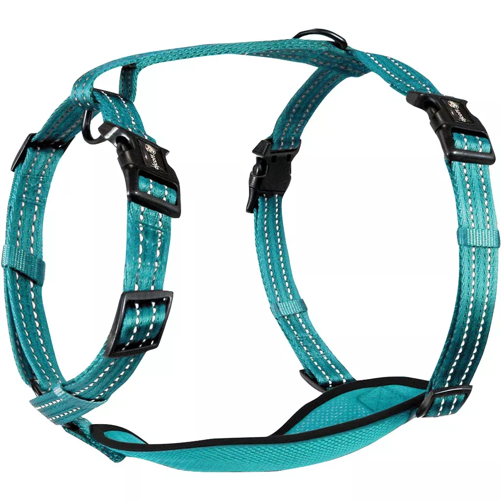 Alcott Adventure Dog Harness Large Blue