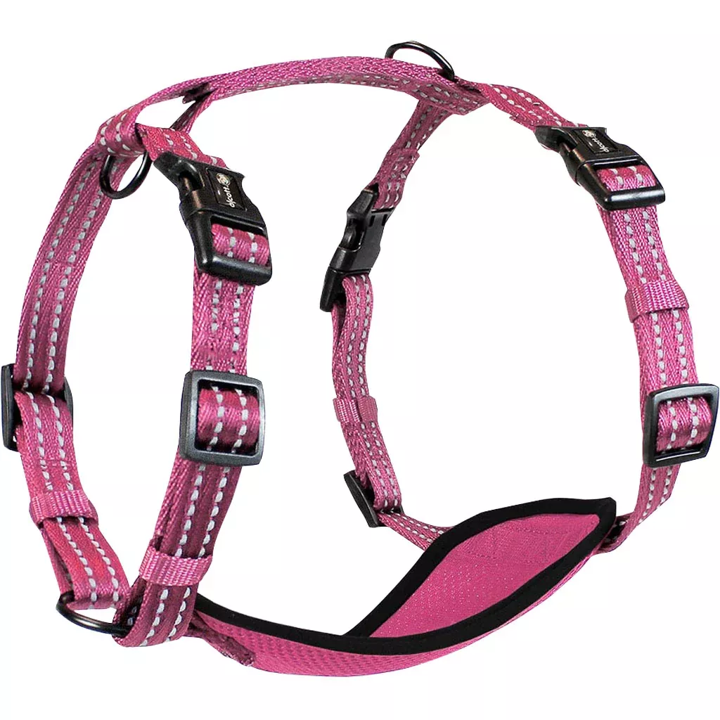 Alcott Adventure Dog Harness, Medium, Pink