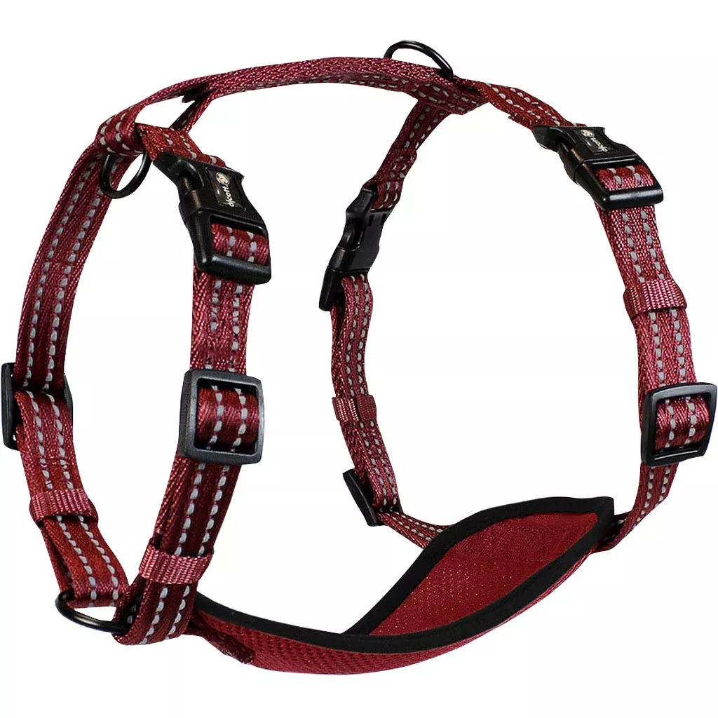 Alcott Adventure Dog Harness Red Medium