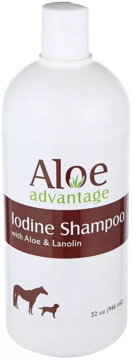 Aloe & Iodine Shampoo, 16 oz