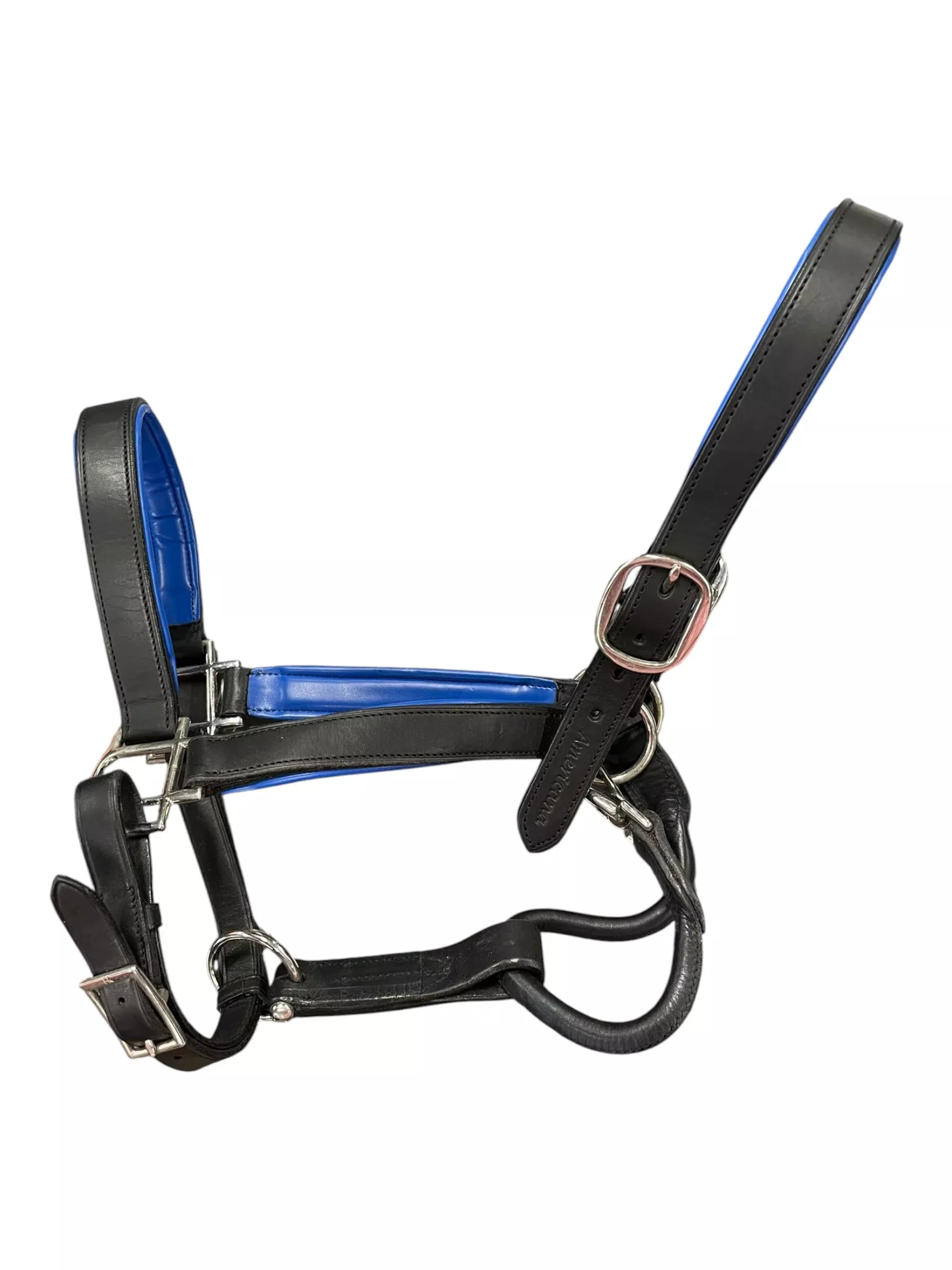 Americana Leather Halter - Black/Blue - O/S - USED