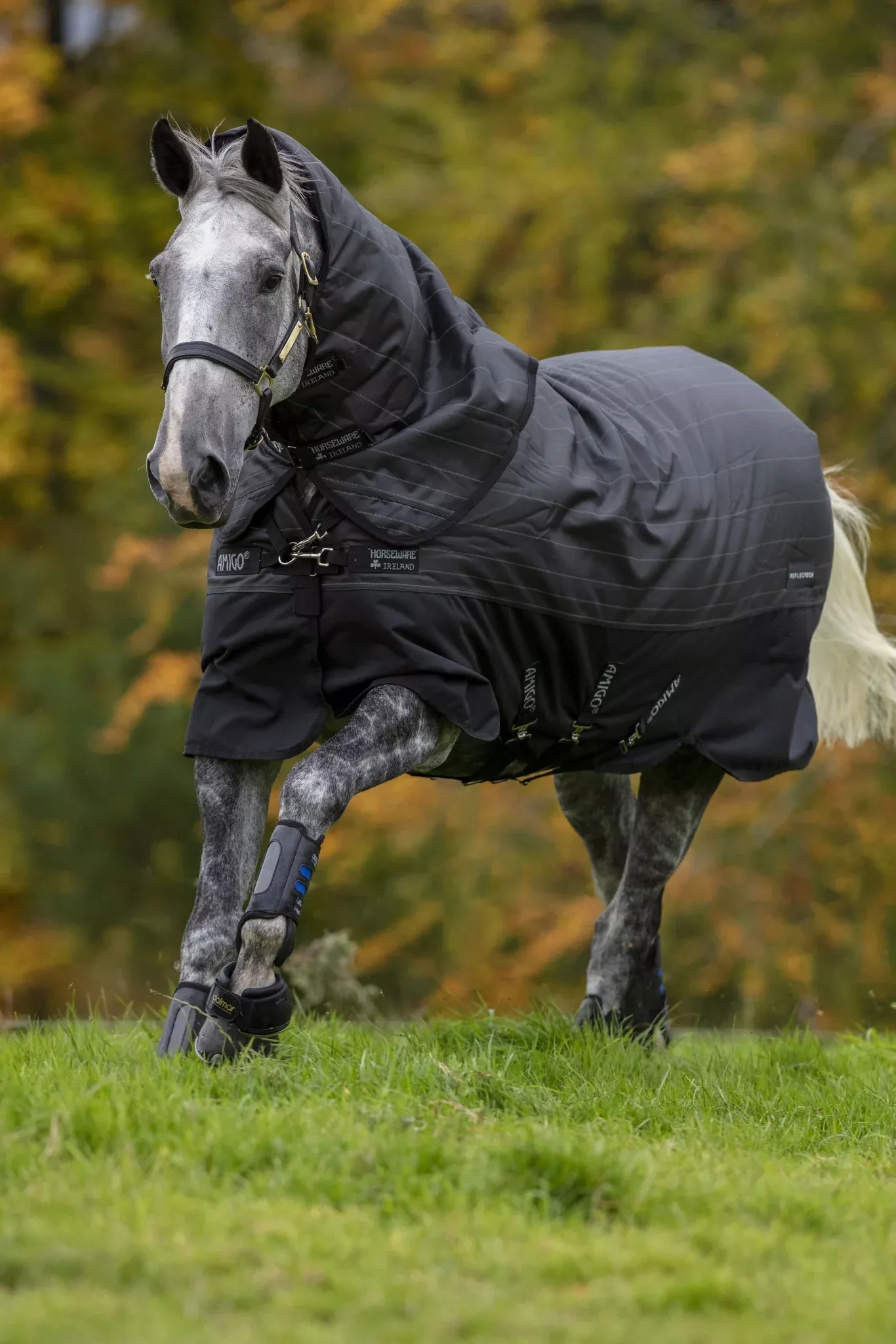 Amigo Bravo 12 Plus Reflective Turnout (250g Medium)