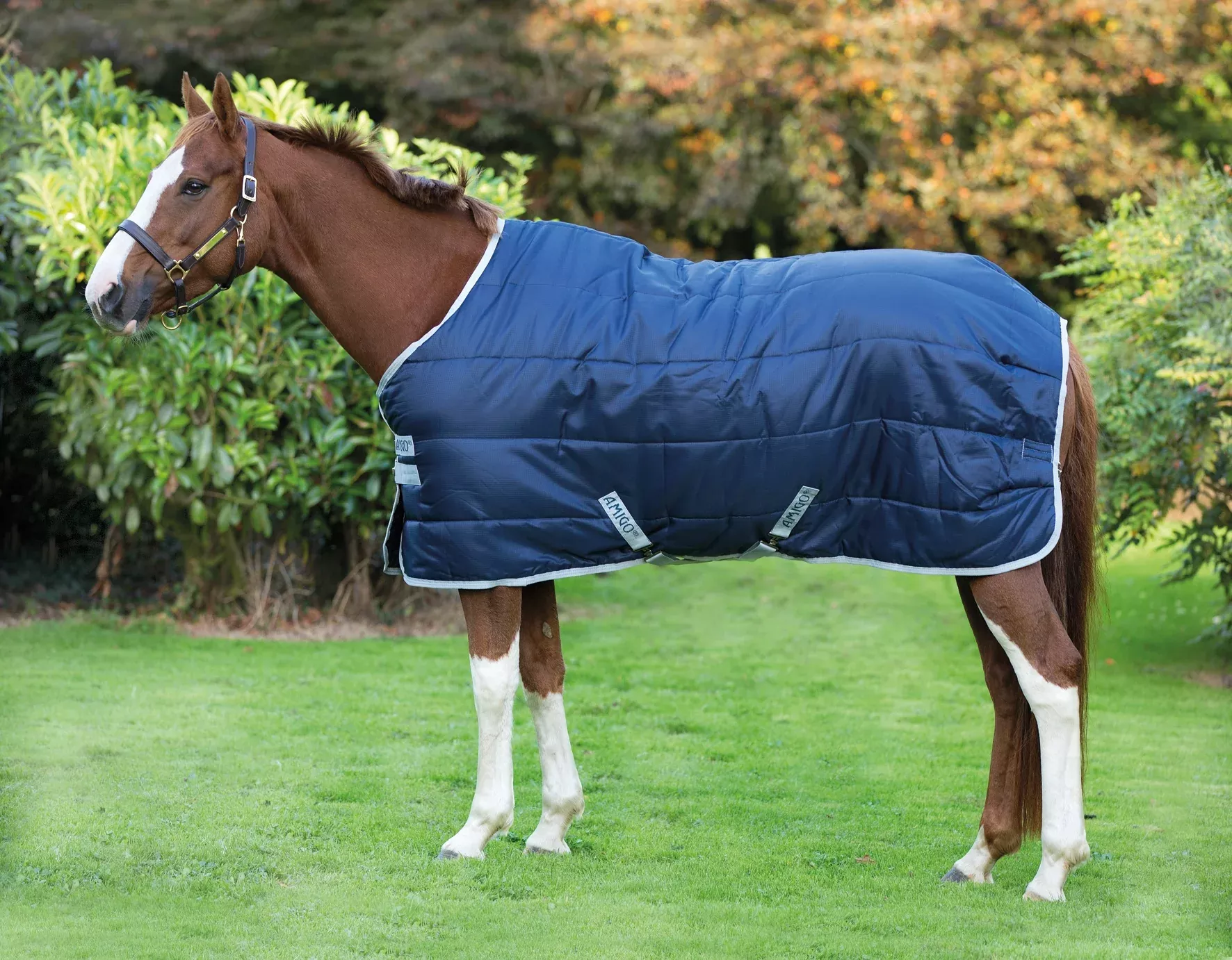 Amigo Medium Weight Insulator Stable Blanket