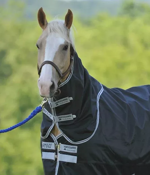 Amigo Stock Horse Neck Cover - Lightweight