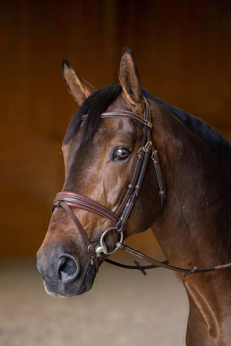 Anatomic Bridle Padded