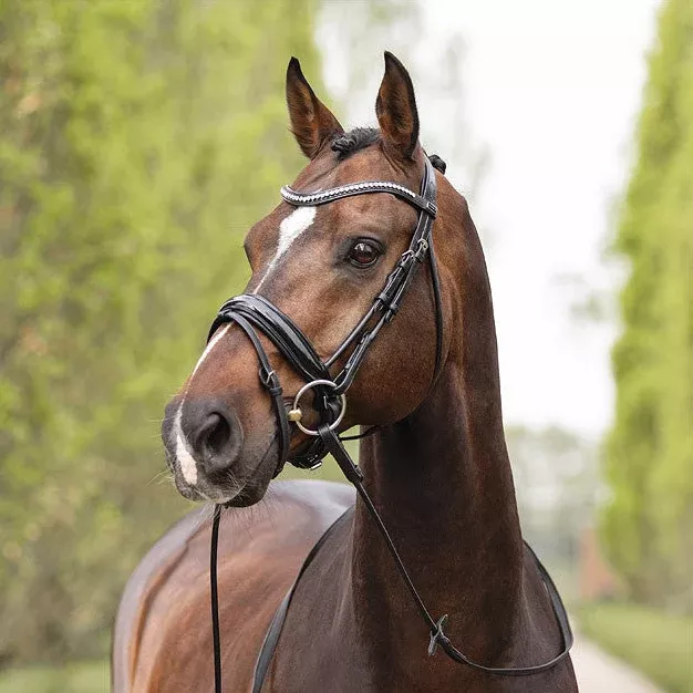 Anatomic Rolled Leather Flash Noseband Bridle