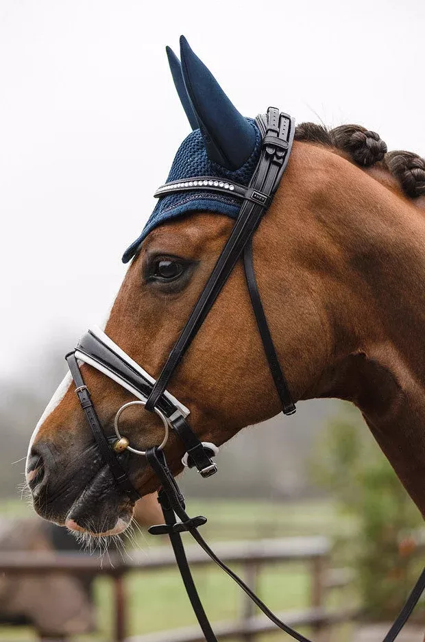 Anatomical Dressage Bridle