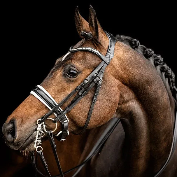 Anatomical Weymouth Double Bridle