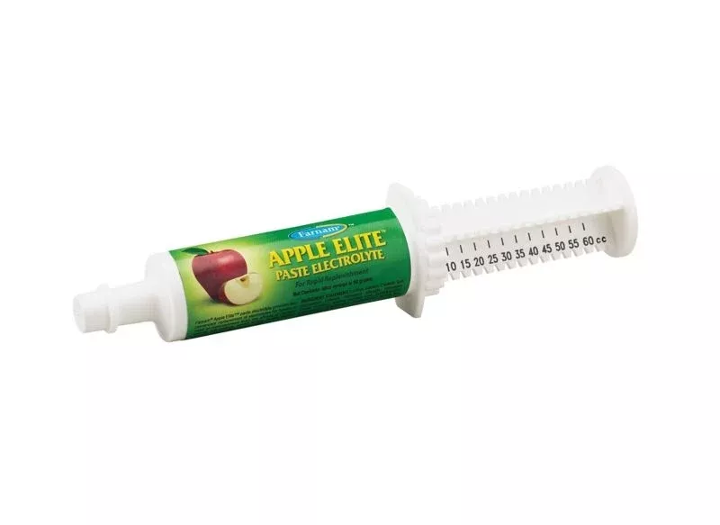 Apple Elite Electrolyte Paste For Horses