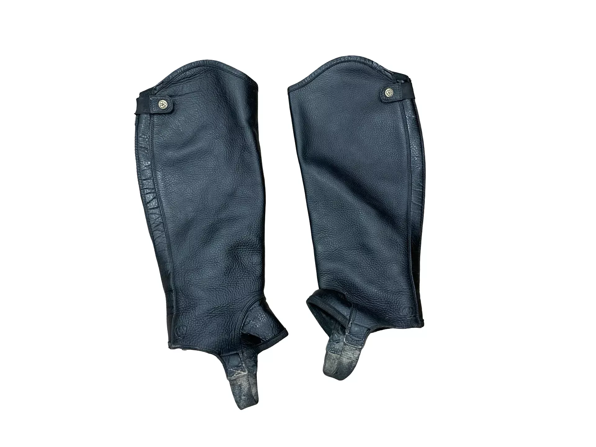 Ariat Concord half Chaps - Black - XL - USED
