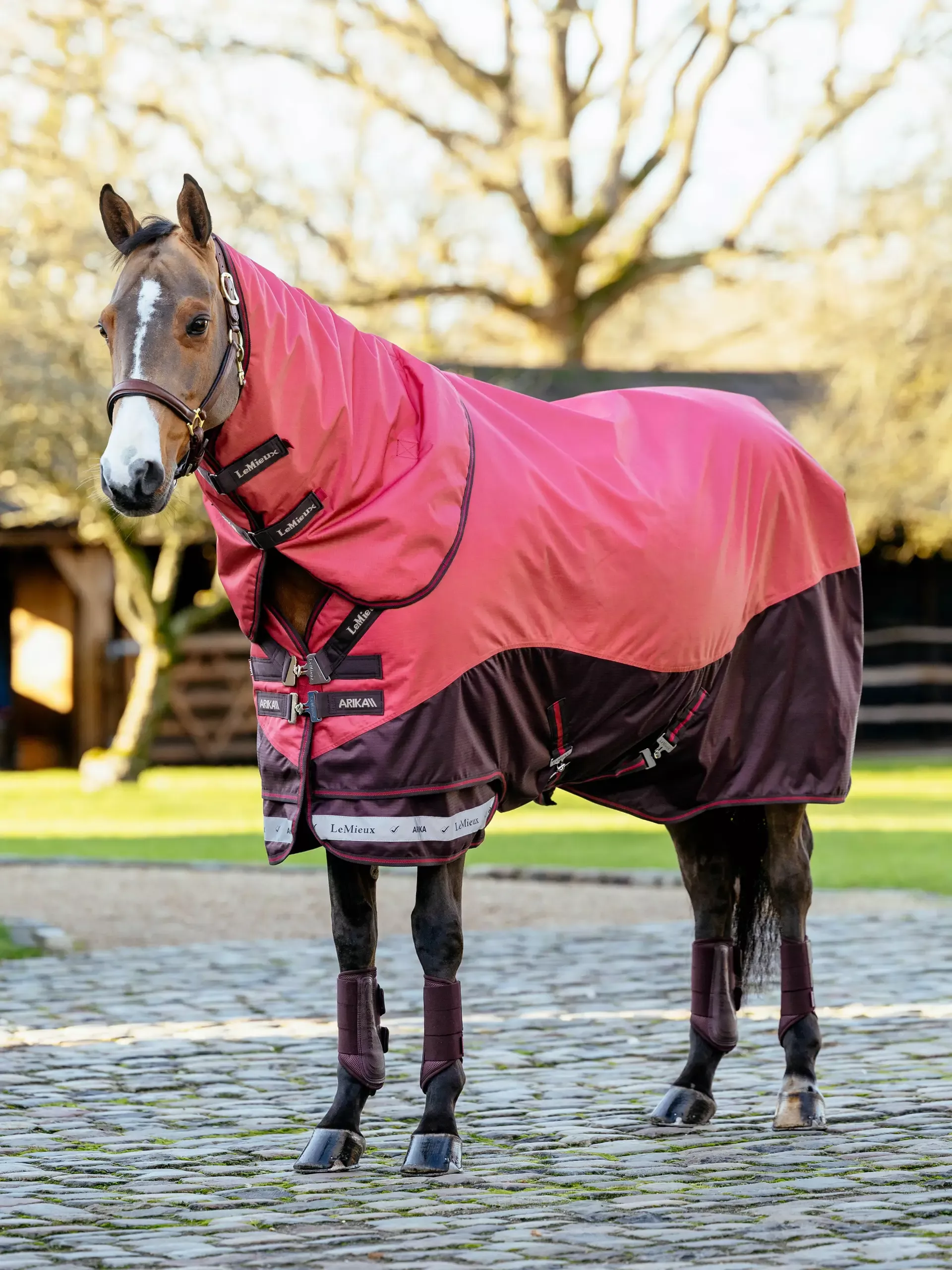 Arika Ripstop Turnout Rug Cranberry 0 gram