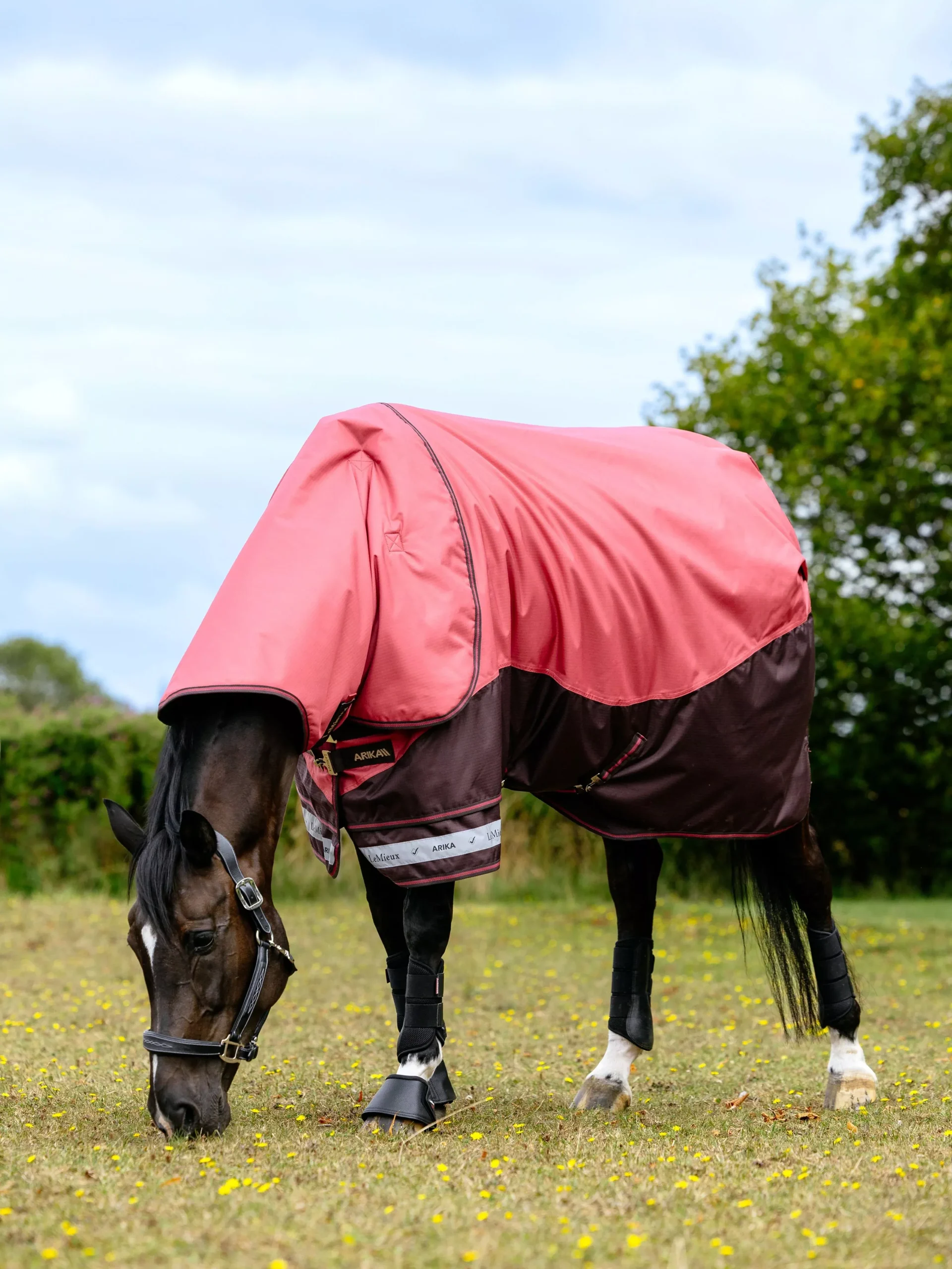 Arika Ripstop Turnout Rug Cranberry 200g