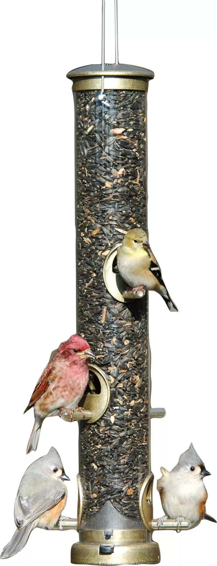 Aspects Quick-Clean Seed Tube Feeder 19 in Brass