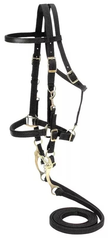 Australian Outrider Collection Nylon Bridle/Halter Combination
