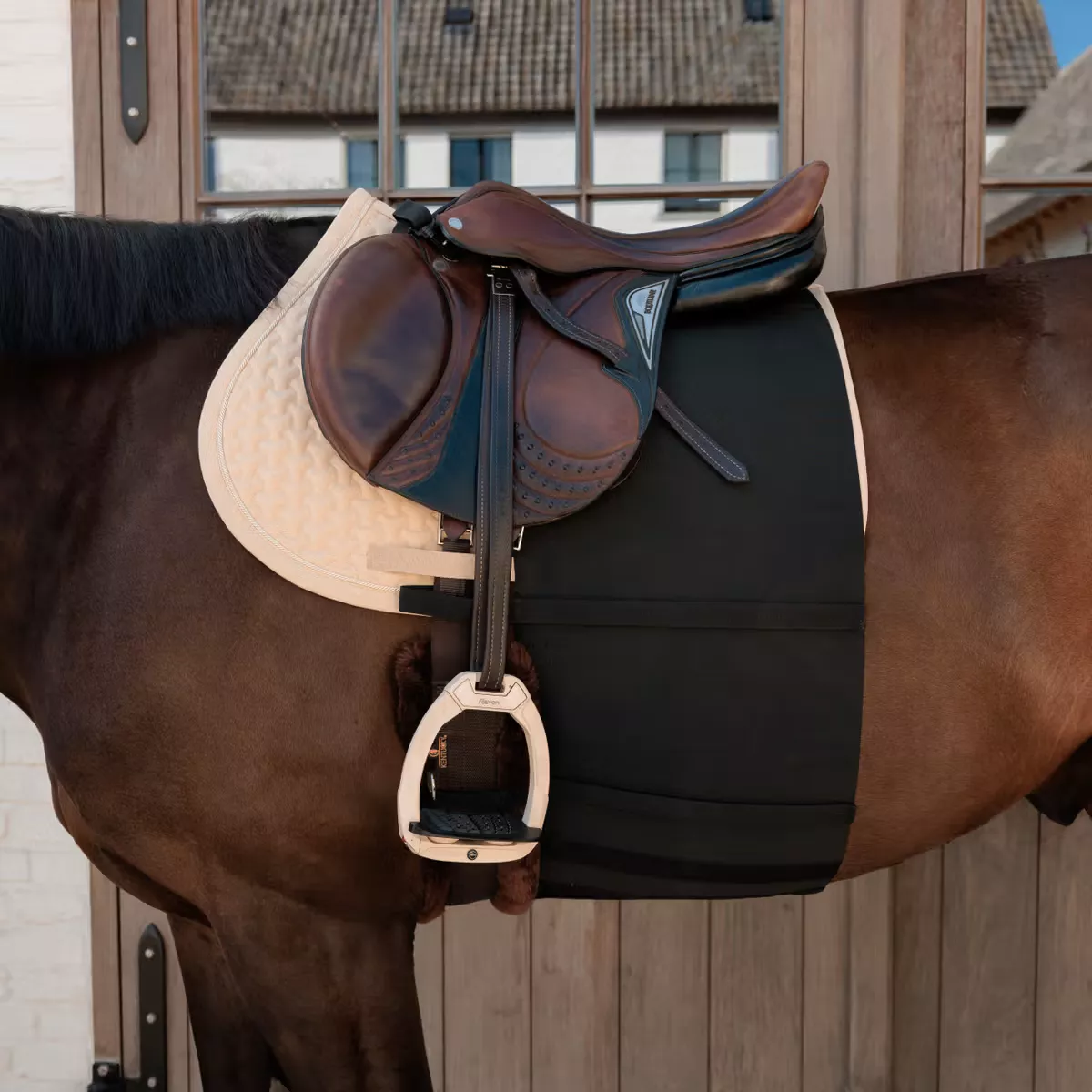 Belly Band Horse