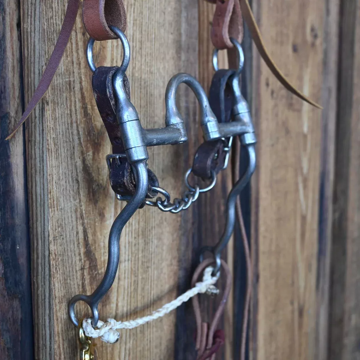 Ben Correction Bridle Rig w/Single Ear Headstall