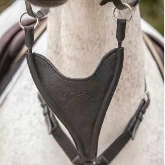 Bip Flap Martingale Fork Elastic