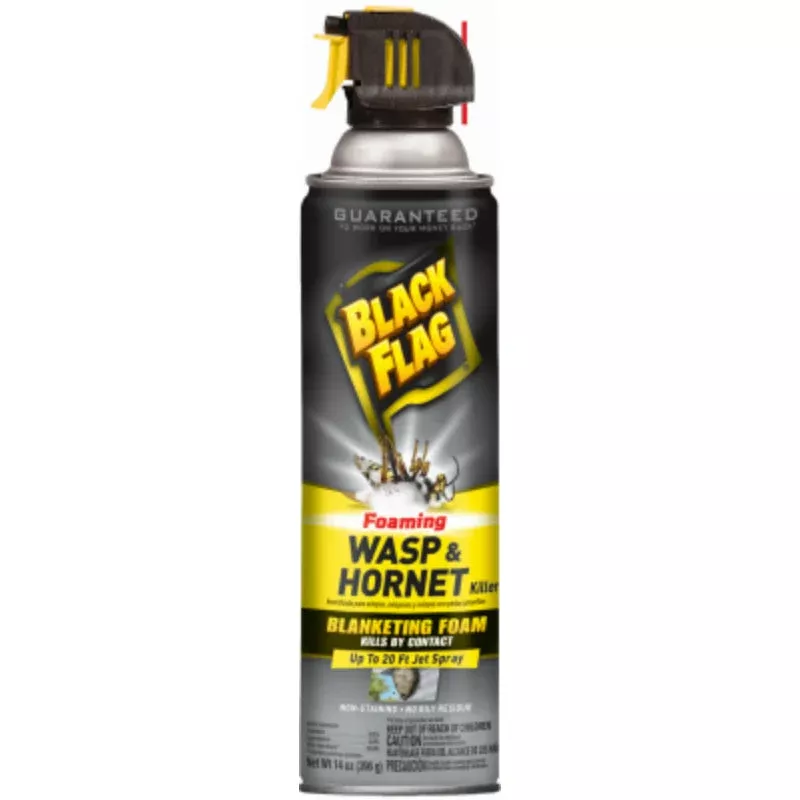 Black Flag Foaming Wasp & Hornet Killer, 14 oz