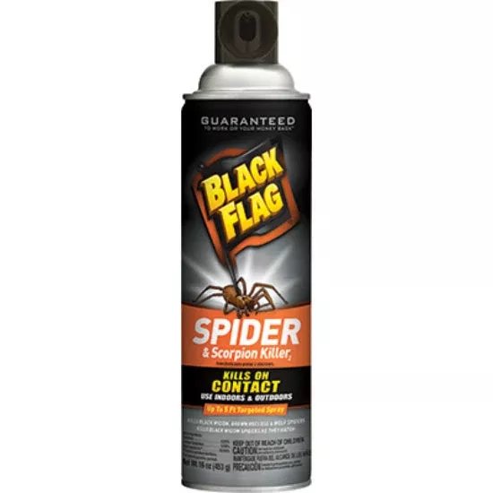 Black Flag Spider and Scorpion Killer