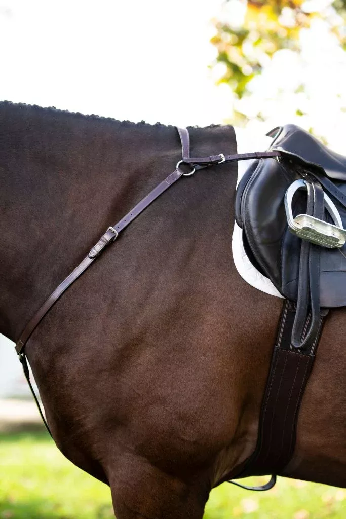 Black Oak 3/4in Breastplate