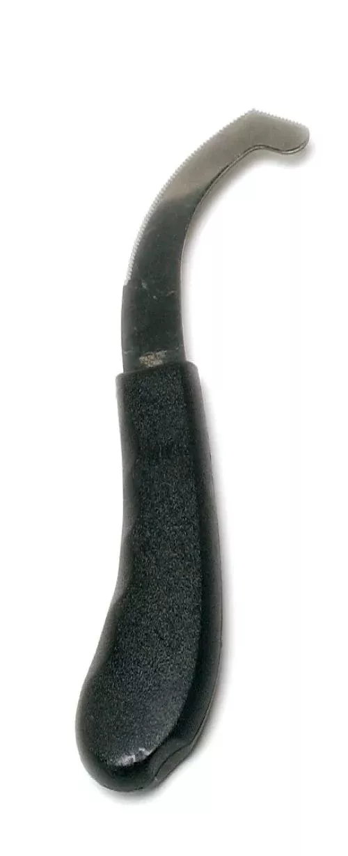Bot Knife with Plastic Handle
