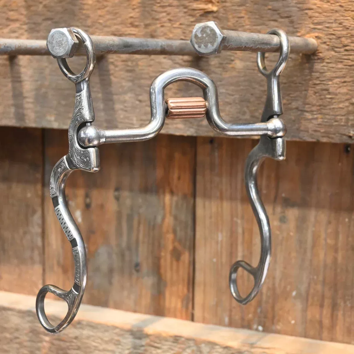 Brandon Anthony Silver MountedPort w/Cricket Bit
