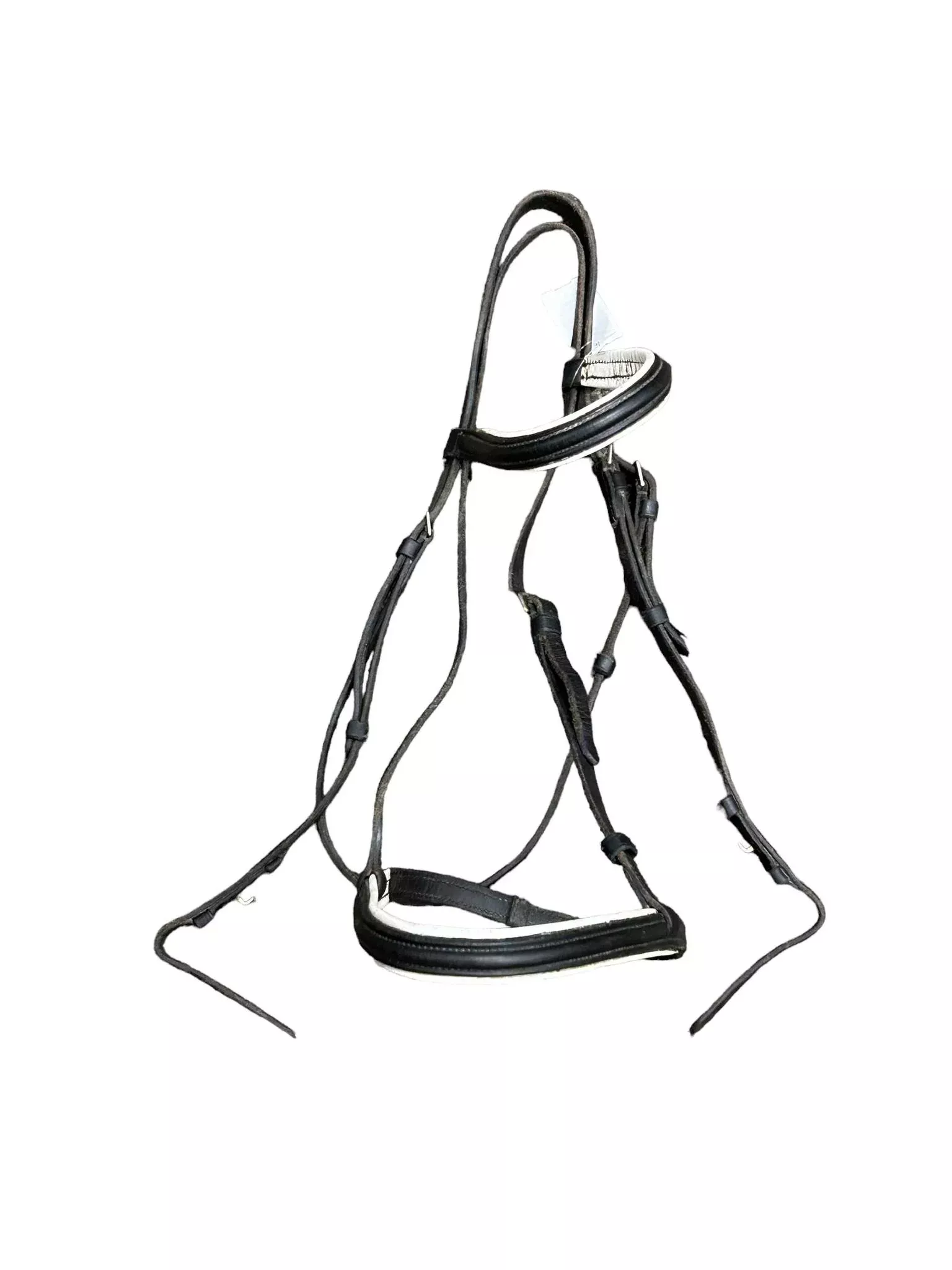 Bridle -Black - Approx FS - USED