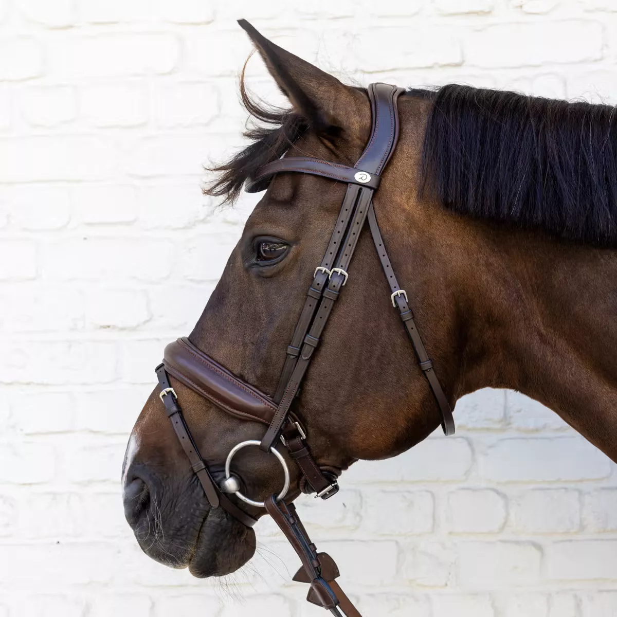 Bridle Medium Noseband Soft Leather