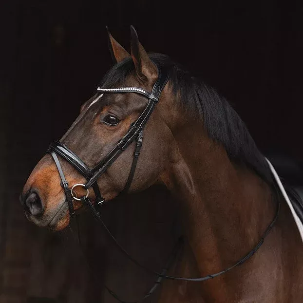 Bridle Metallic Patent