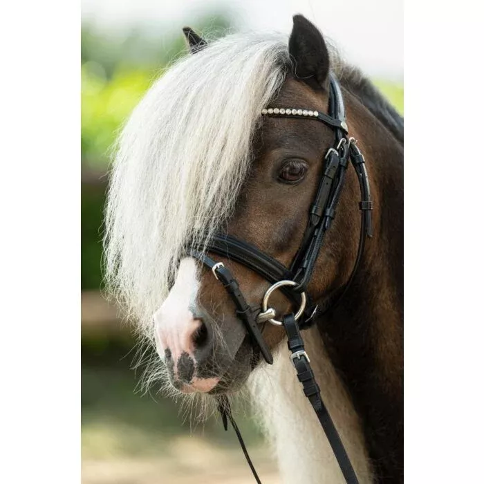 Bridle Shetty Diamond