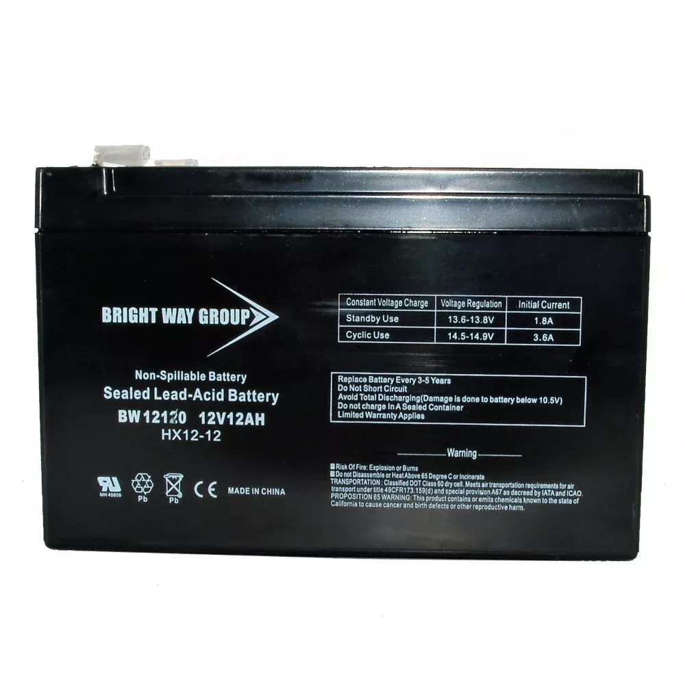 Bright Way Group 12 Volt Battery