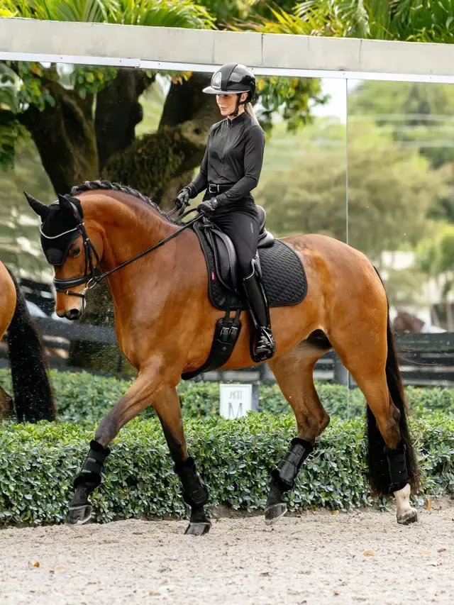 Brilliance Dressage Square