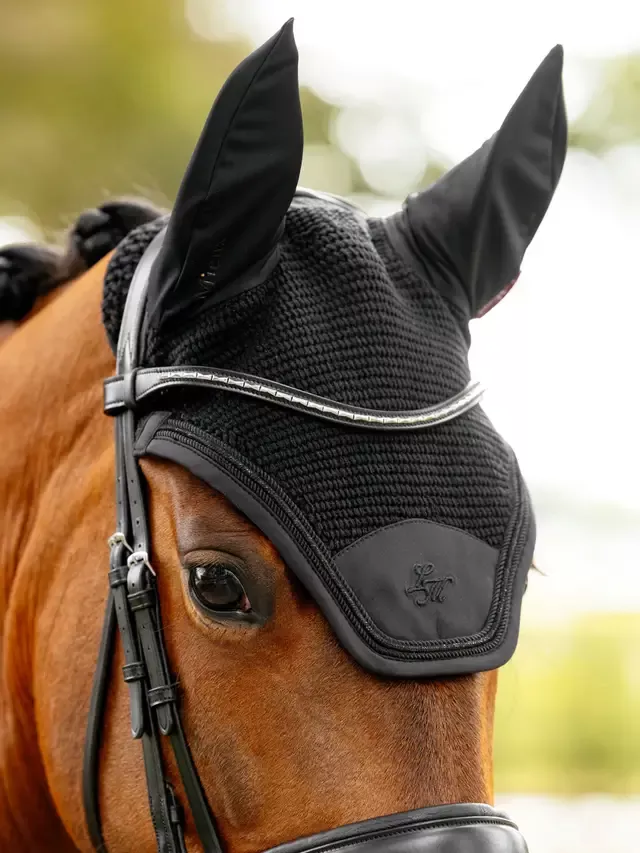 Brilliance Fly Hood