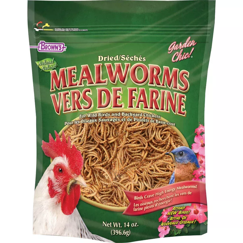 Brown's Garden Chic! Mealworms, 14 oz