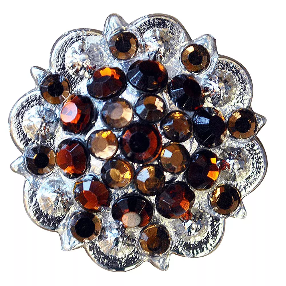 Brown Topaz Crystal Berry Headstall Saddle Cowgirl Hilason