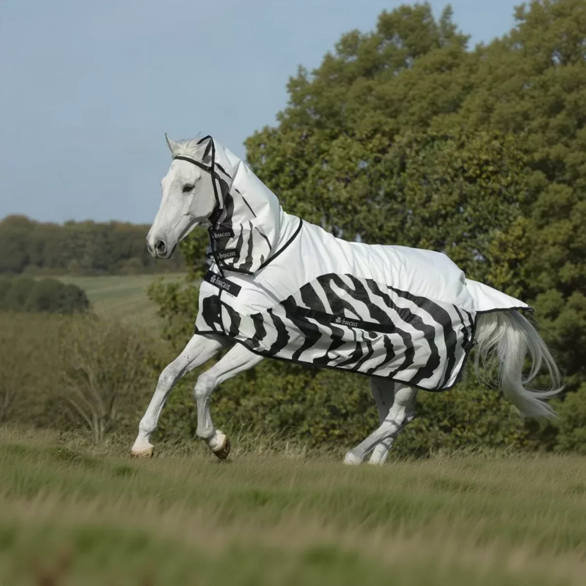 Bucas BuzzOff Zebra Mesh Rain Crossover