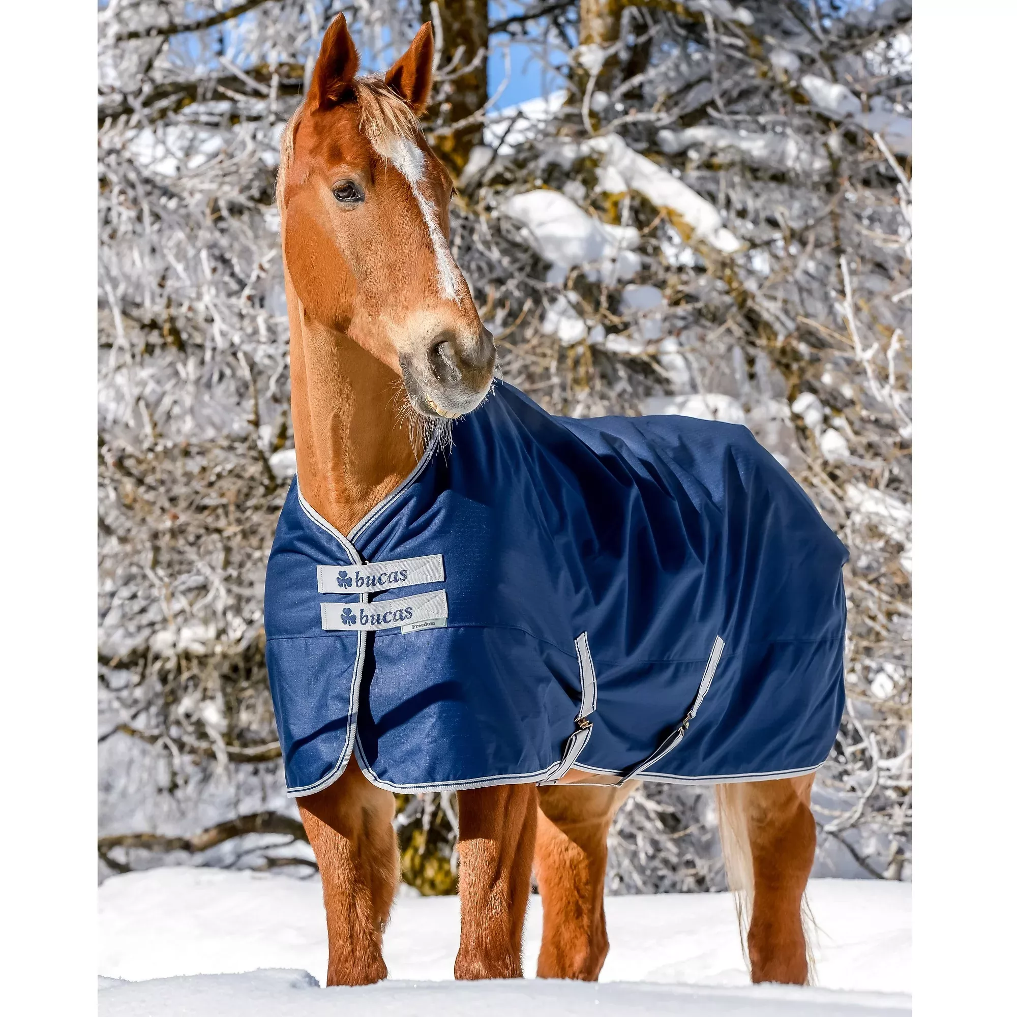 Bucas Freedom Medium Weight Turnout