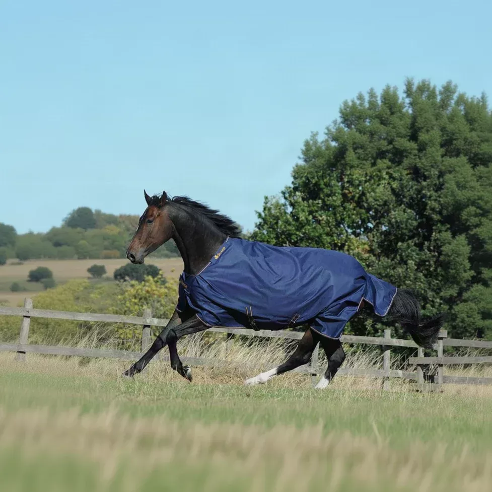 Bucas Rug Irish 1200D Navy