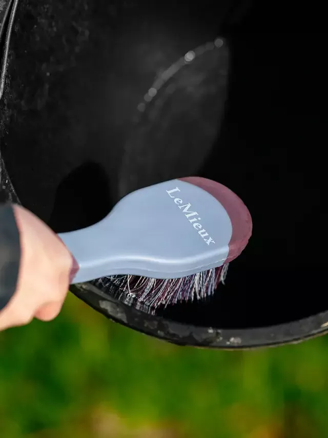 Bucket Brush Powder