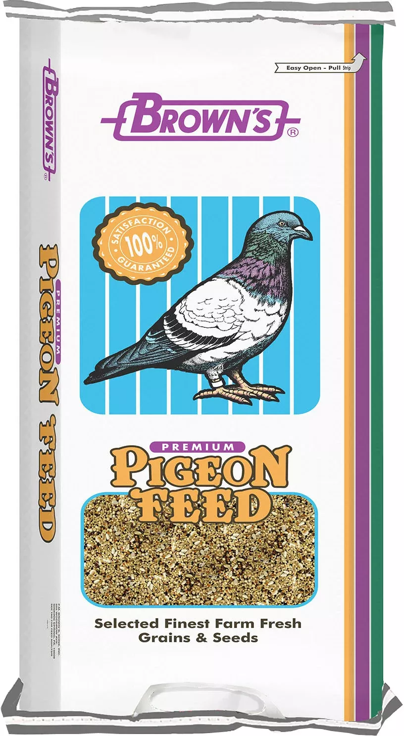 Bucket of Gold Pigeon Food, 50 lb