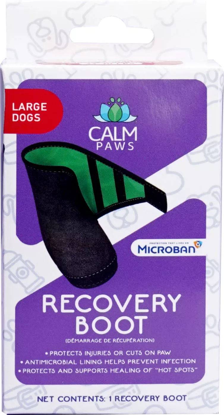 Calm Paws Recovery Boot, Large