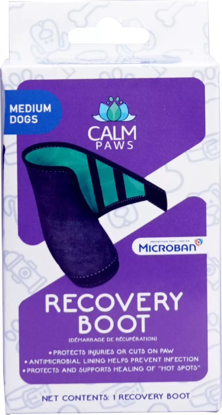 Calm Paws Recovery Boot, Medium