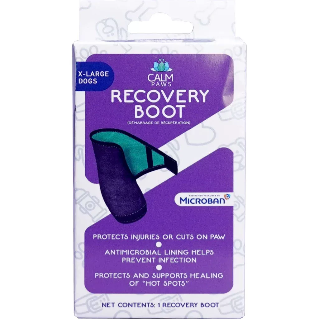 Calm Paws Recovery Boot, XL
