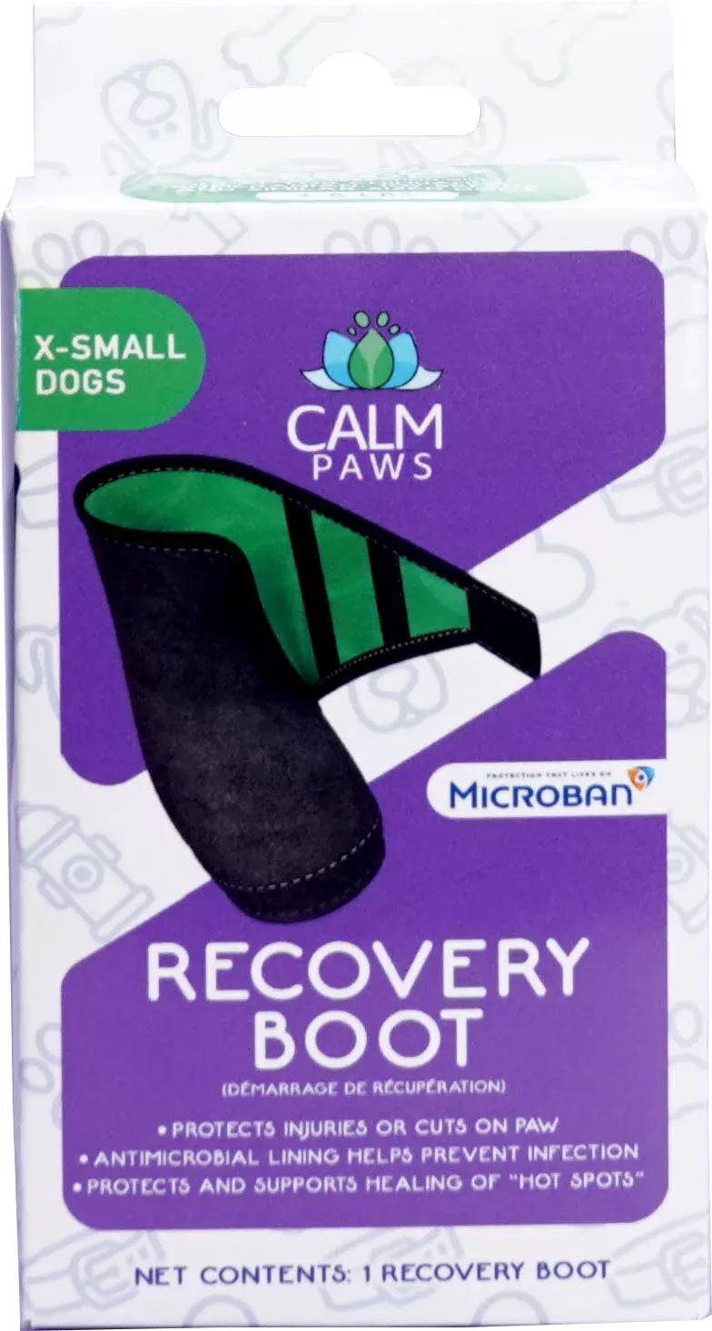 Calm Paws Recovery Boot, XS
